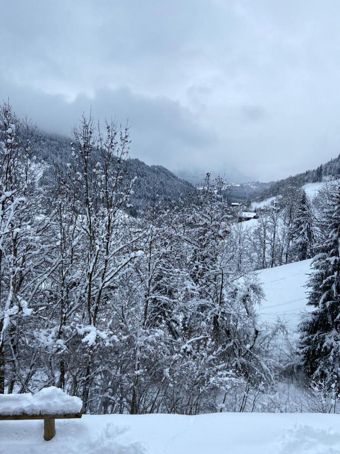 Chalet Soleya เลอกรองด์บอร์นอง ภายนอก รูปภาพ
